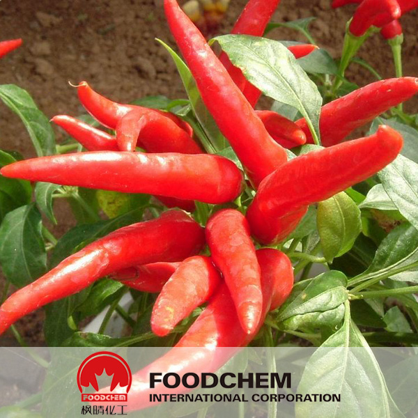 Chili Pepper Extract